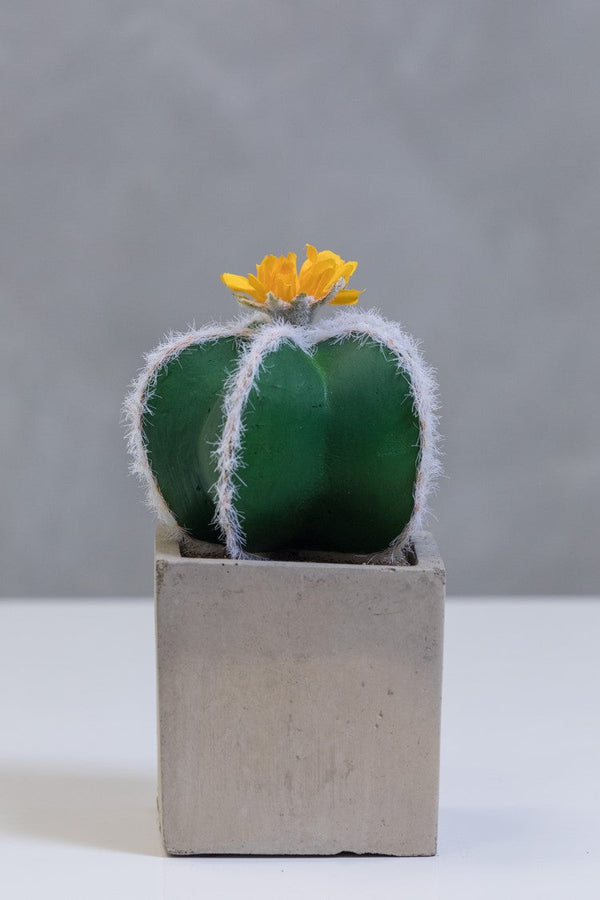 9" Single Yellow Flower Cactus on Pot - Cacti Collection - Casa Febus - Home • Design