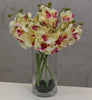22" Catleya Orchid Stem - Cream/Pink - Casa Febus - Home • Design